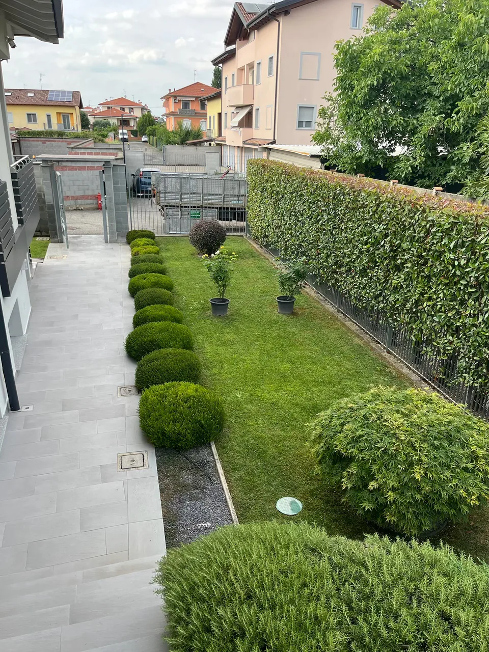 Siepi e arbusti sagomati con precisione