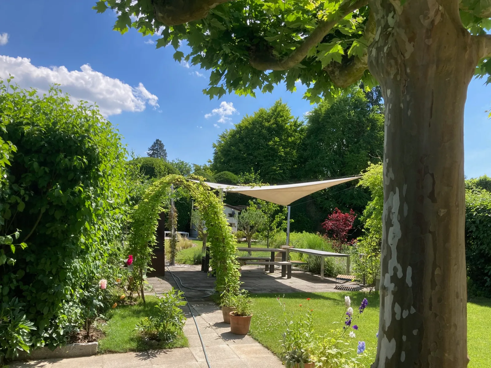 Giardino rigoglioso con terrazza ombreggiata
