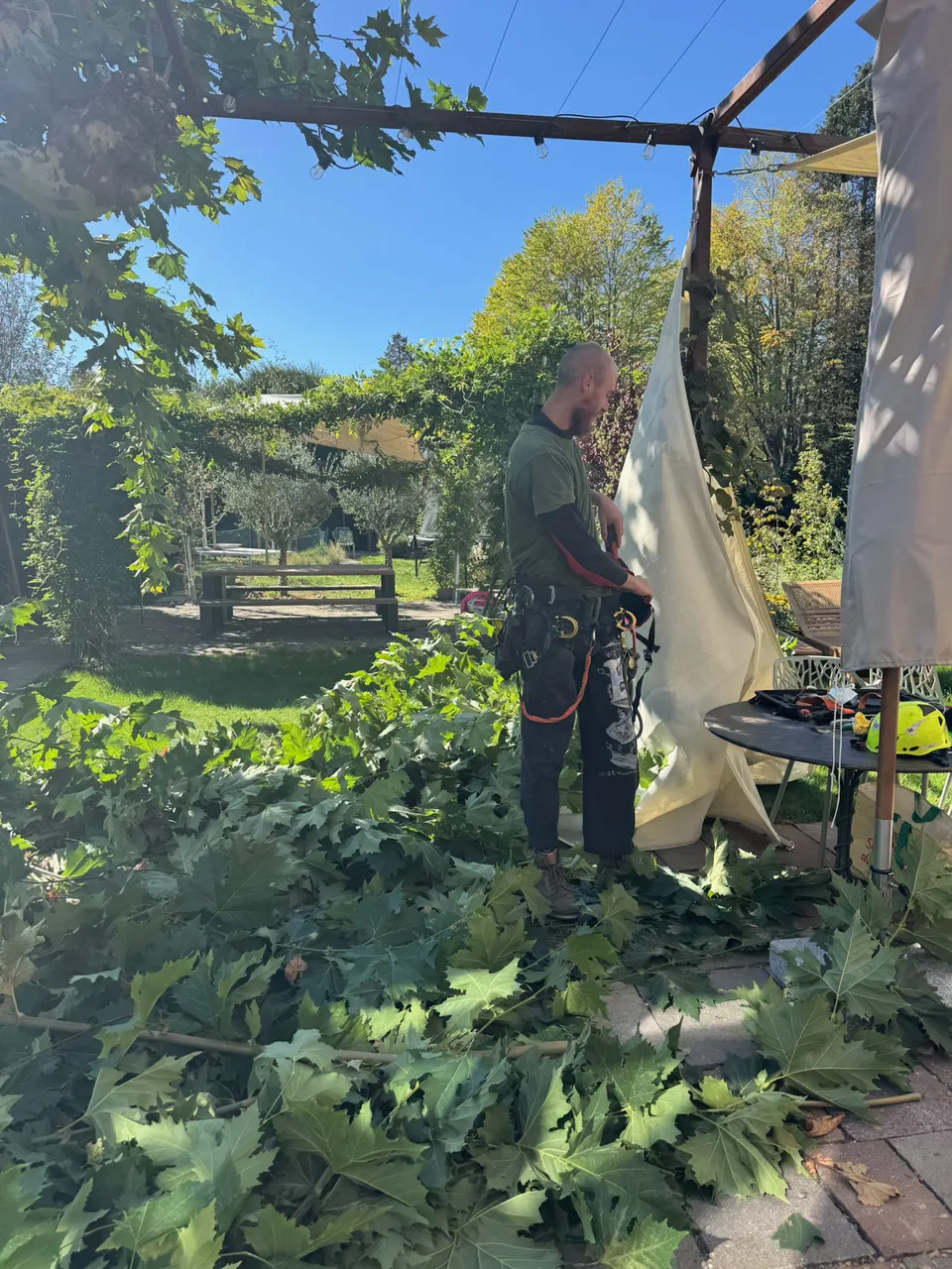 Cura e potatura delle piante in un giardino privato